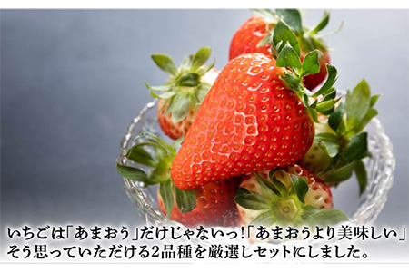 ゆめ恋セット（ゆめのか・恋みのり）計1kg《壱岐市》【蒼花】[JEO001-CP02] いちご イチゴ 苺 フルーツ 果物 スムージー ジャム ゆめのか 恋みのり セット 食べ比べ 小分け パック 冷蔵 あまおう 12000 12000円