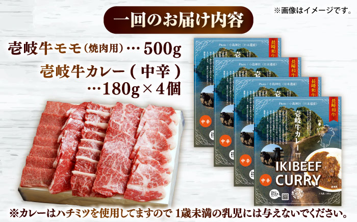 【全6回定期便】壱岐牛モモ＆壱岐牛カレー中辛セット《壱岐市》【壱岐フードファクトリー】カレー モモ 焼き肉 壱岐牛 [JDW132]