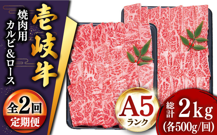 【全2回定期便】壱岐牛焼き肉セット2（ロース 500g・カルビ 500g） [JDD038] 100000 100000円 10万円