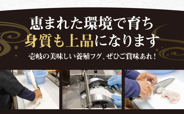 【全2回定期便】とらふぐ 刺身 （2〜3人前）《壱岐市》【なかはら】[JDT065] ふぐ フグ 河豚 とらふぐ トラフグ 刺身 刺し身 ふぐ刺し フグ刺し とらふぐ刺し トラフグ刺し てっさ ふぐ刺身 とらふぐ刺身 68000 68000円