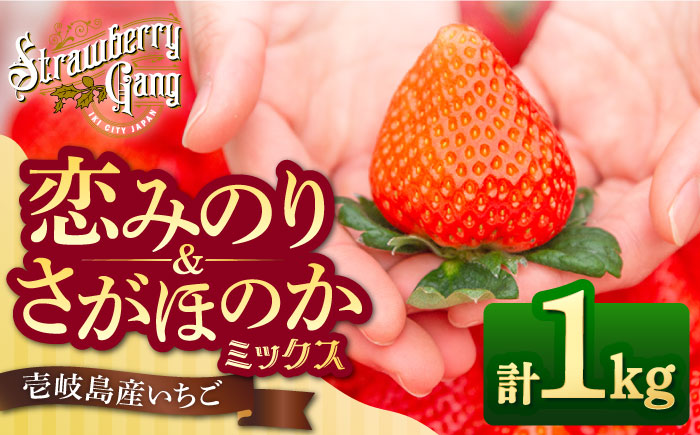 【先行予約】恋みのり・さがほのか 約250g×4パック《壱岐市》【Strawberry Gang】 [JEM001] セット イチゴ 苺 定期便 食べ比べ 果物 フルーツ スムージー 14000 14000円