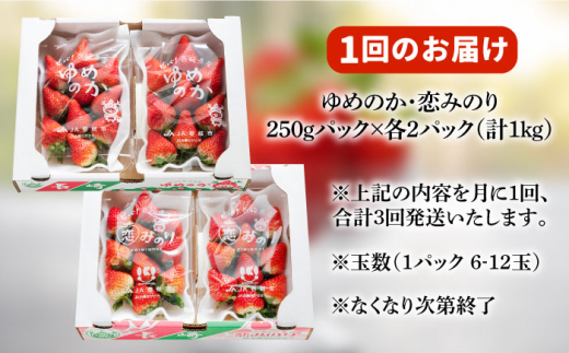 【先行予約受付中】【全3回定期便】《2月〜4月：毎月発送！》イチゴ1kg 食べ比べ 「ゆめ恋セット（ゆめのか・恋みのり ）」（250g×4パック）《壱岐市》【蒼花】 [JEO003] いちご イチゴ 苺 フルーツ 果物 ゆめのか 恋みのり セット 食べ比べ 冷蔵 あまおう 39000 39000円