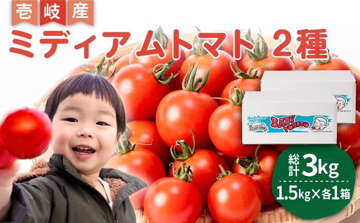 ミディアムトマト 2種 （フルティカ・シンディースイート） 計3kg 《壱岐市》【ISLAND FARM】 トマト 生鮮 野菜 食べ比べ 22000 22000円 [JFL002]