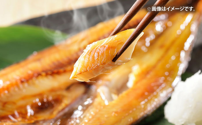 壱岐の海の幸 干物セット《壱岐市》【壱岐市農業協同組合】あじ アジ 鯵 かます カマス いか イカ 烏賊 干物 ひもの 干物セット 冷凍配送 [JBO153]