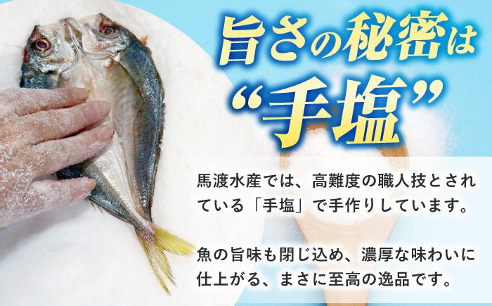 【訳あり】大量干し物セット《壱岐市》【馬渡水産】訳あり 訳アリ あじ アジ いわし イワシ かます カマス いか イカ さば サバ 鯵 鰯 鯖 干物 ひもの 干物セット 冷凍配送 [JAQ009]