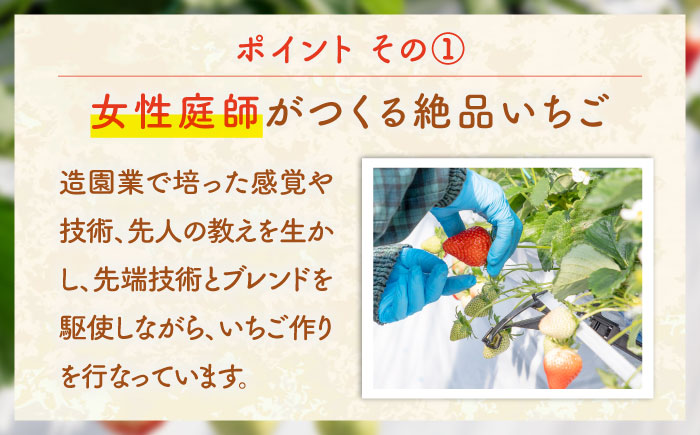 ゆめ恋セット（ゆめのか・恋みのり）計1kg《壱岐市》【蒼花】[JEO001] いちご イチゴ 苺 フルーツ 果物 スムージー ジャム ゆめのか 恋みのり セット 食べ比べ 小分け パック 冷蔵 あまおう 15000 15000円