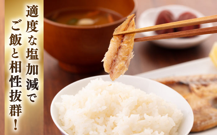 あじ開きざんまい 約100g×10枚《壱岐市》【馬渡水産】 アジ あじの開き アジの開き ひもの 干物 朝食 冷凍配送 [JAQ034]