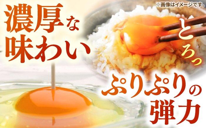 【全12回定期便】特選 素直な恋たまご 50個 《壱岐市》【しまのたまご屋さん】 [JAP025] 卵 たまご 鶏卵 玉子 ギフト 国産 卵かけご飯 たまごかけご飯 のし 定期便 [JAP025]