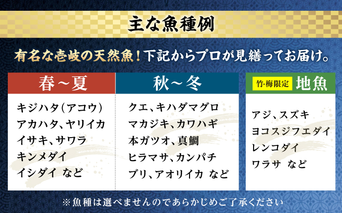 【6回定期便】 ＼壱岐島勝本漁港直送！／島の刺身セット 竹コース（150g×5パック） 《壱岐市》【あかりや】 お刺身 刺し盛り 刺盛り 鮮魚 海鮮 海鮮丼 お造り 小分け タイ マグロ カツオ イカ ブリ クエ 詰め合わせ セット [JFO011]
