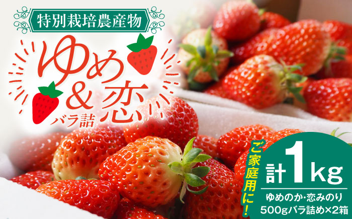 家庭用 バラ詰め イチゴ 1kg （ゆめのか・恋みのり）《壱岐市》【蒼花】[JEO002] いちご イチゴ 苺 フルーツ 果物 スムージー ジャム ゆめのか 恋みのり セット 食べ比べ 冷蔵 10000 10000円