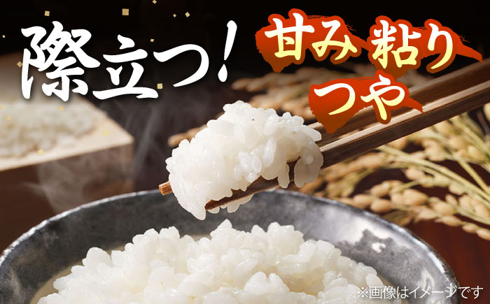 壱岐産米 つや姫 5kg《壱岐市》【壱岐フードファクトリー】 [JDW060]