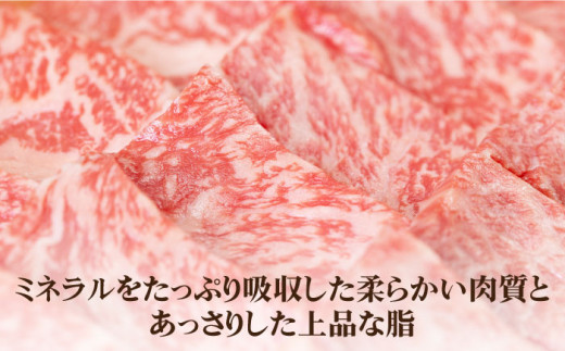 【全3回定期便】《A4〜A5ランク》壱岐牛 ロース 500g（焼肉）[JBO074] 肉 牛肉 ロース 焼肉 焼き肉 赤身 定期便 BBQ  96000 96000円