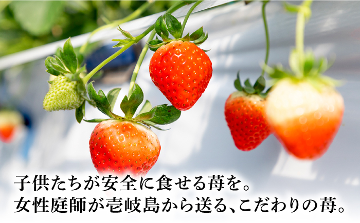 冷凍いちご 1kg 『ゆめ恋フローズンセット』《壱岐市》【蒼花】 産地直送 冷凍配送 いちご 苺 フルーツ フローズン 朝食 ゆめのか 恋みのり [JEO005]