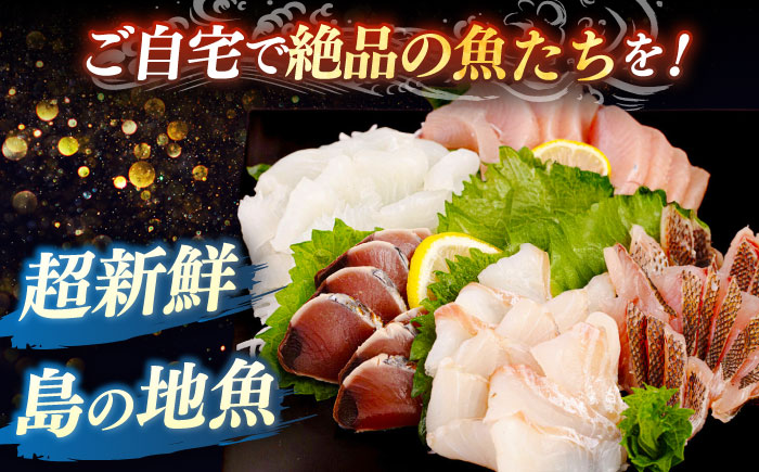 【勝本漁港直送】壱岐島の刺身盛りセット ≪壱岐市≫【あかりや】 冷凍配送 刺身 小分け 産地直送  11000円 お刺身 刺し身 寿司 海鮮 [JFO003]