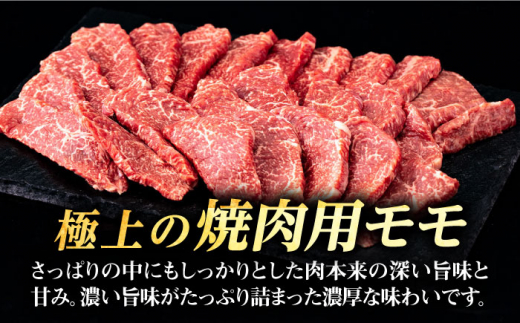 壱岐牛 焼肉用 モモ 500g《壱岐市》【株式会社イチヤマ】[JFE057] 赤身 肉 牛肉 焼肉 焼き肉 もも BBQ 22000 22000円