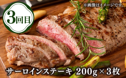 【全3回定期便】壱岐牛定期便（壱岐牛ステーキ、しゃぶすきセット）3人前《壱岐市》【壱岐市農業協同組合】壱岐牛 すき焼き ステーキ しゃぶしゃぶ 肉セット [JBO164] 100000 100000円 10万円