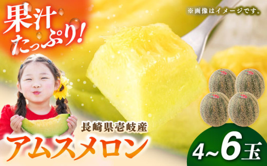 【2026年6月中旬以降順次発送】【数量限定】 壱岐産 アムスメロン 4〜6玉（5kg〜6kg前後） 《壱岐市》【壱岐市農業協同組合】[JBO017] メロン 青肉 フルーツ 果物 先行予約 季節限定 21000 21000円[JBO017]