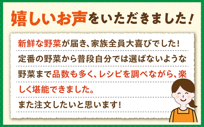 【全6回定期便】旬の野菜セット 7品 《壱岐市》【壱岐市農業協同組合】[JBO045] 野菜 ベジタブル 食材 詰め合わせ 産地直送 野菜セット グルメ 春 夏 秋 冬 旬 サラダ 冷蔵 夏野菜 スムージー 定期便 54000 54000円