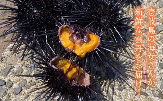 紫うに 60g×2本《壱岐市》【メイリ・キッチン】[JBD005] 紫うに 生うに ウニ ムラサキウニ うに 雲丹 海産物 海鮮 ご飯のお供 ごはんのおとも 瓶詰 瓶 27000 27000円