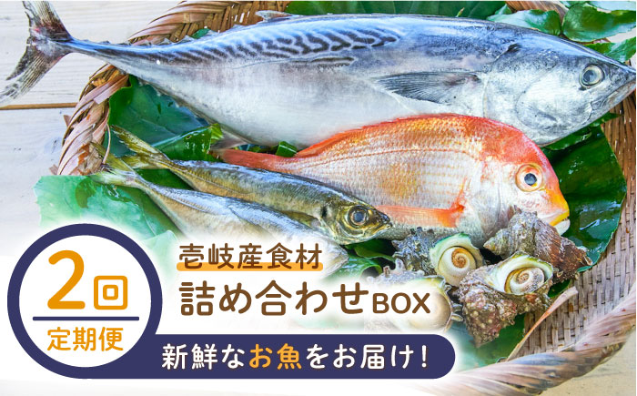 【全2回定期便】壱岐産食材詰め合わせBOX「魚」《壱岐市》【壱岐イルカパーク＆リゾート】塩 醤油 卵 魚介類 海鮮 [JBF036]