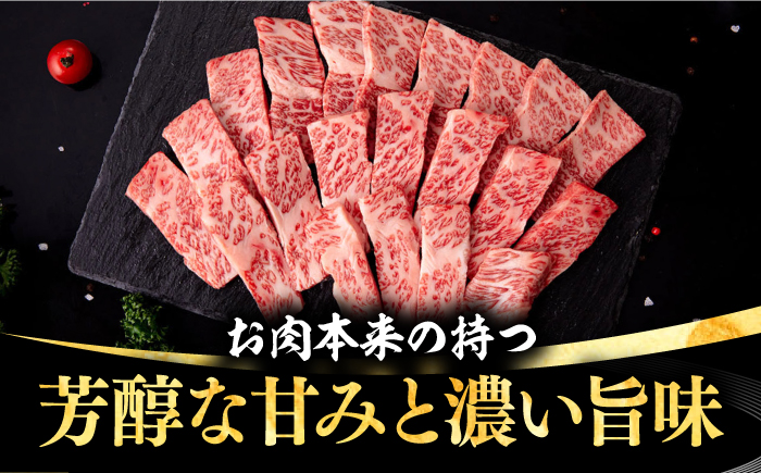 【全2回定期便】 壱岐牛 焼肉用 バラ（カルビ）500g《壱岐市》【株式会社イチヤマ】 肉 牛肉 焼肉 バラ カルビ BBQ [JFE113]