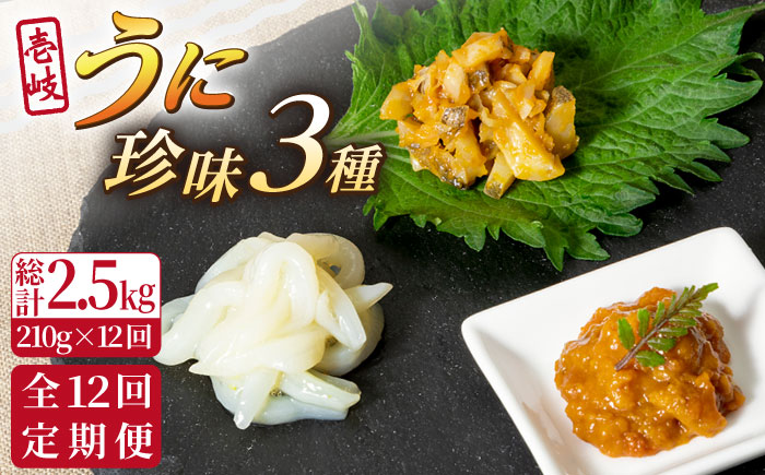 【全12回定期便】壱岐 うに 珍味 3本 セット 《壱岐市》【下久商店株式会社】[JBZ033] イカ 塩辛 柚子 ウニ 雲丹 がぜうに ガゼウニ 海産物 海鮮 おつまみ ご飯のお供 ごはんのおとも 瓶詰 瓶 200000 200000円 20万円