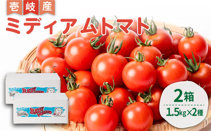 ミディアムトマト 2種 （フルティカ・シンディースイート） 計3kg 《壱岐市》【ISLAND FARM】 トマト 生鮮 野菜 食べ比べ 22000 22000円 [JFL002]