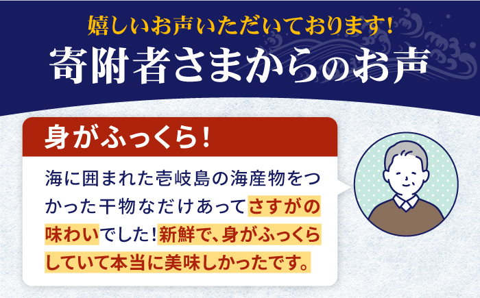 【全2回定期便】旬の海産物セットＡ《壱岐市》【朝市　マルミ海産物】サンマ  丸干し アジ みりん干し  魚 [JCY022]