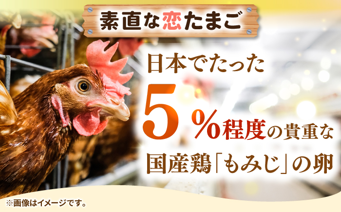 【全12回定期便】特選 素直な恋たまご 50個 《壱岐市》【しまのたまご屋さん】 [JAP025] 卵 たまご 鶏卵 玉子 ギフト 国産 卵かけご飯 たまごかけご飯 のし 定期便 [JAP025]