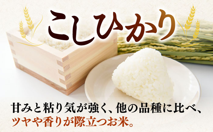 【R7年度産】こしひかり 10kg 《壱岐市》 【長米壱岐営業所】[JCZ019] 米 お米 白米 精米 ごはん ご飯 こしひかり コシヒカリ 30000 30000円