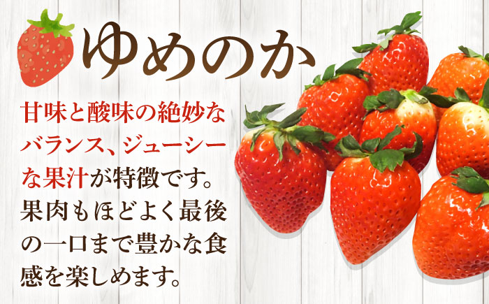 【贈答用】ゆめのか 250g×2パック 《壱岐市》【Strawberry Gang】 [JEM005] セット いちご イチゴ 苺 果物 フルーツ スムージー プレゼント ギフト 9000 9000円