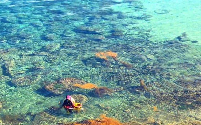 【先行予約】生ウニ 60g 【2026年5月以降順次発送】《壱岐市》【丸昇水産】 うに 雲丹 ウニ 希少 産地直送 ミョウバン不使用 無添加 [JFZ005]