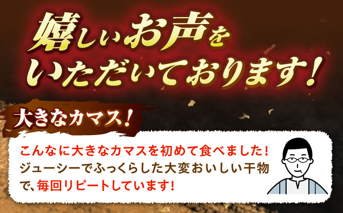 特大アカカマスの開き 干物 計600g（3～4枚）《壱岐市》【馬渡水産】かます カマス アカカマス 赤カマス ひもの 干物 冷凍配送 [JAQ036]