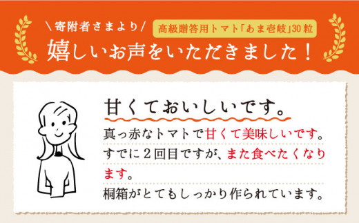 トマト ミディトマト 約1kg 30粒 高級贈答用「あま壱岐」（桐箱小） 《壱岐市》【壱岐の潮風】[JAE003] 野菜 ギフト プレゼント 贈り物 化粧箱 17000 17000円