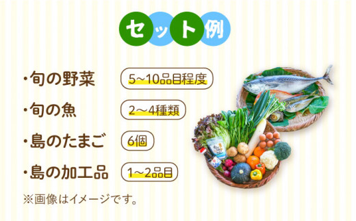 壱岐産 食材詰め合わせ 野菜魚 《壱岐市》【壱岐イルカパーク＆リゾート】[JBF012] 41000 41000円 4万円