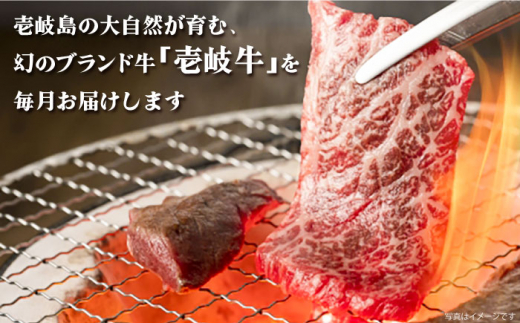 【全12回定期便】《A4〜A5ランク》壱岐牛 満足定期便《壱岐市》【壱岐市農業協同組合】 [JBO082] 和牛 黒毛和牛 ロース サーロイン ステーキ BBQ 焼肉 焼き肉 すき焼き しゃぶしゃぶ 鍋 うす切り   500000 500000円 50万円