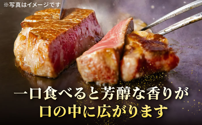 壱岐牛 ヒレステーキ 150g×6枚《壱岐市》【太陽商事】 [JDL015] 肉 牛肉 ヒレ ひれ フィレ ステーキ ヒレステーキ シャトーブリアン BBQ 焼肉 赤身   8万 のし プレゼント ギフト 80000 80000円 8万円