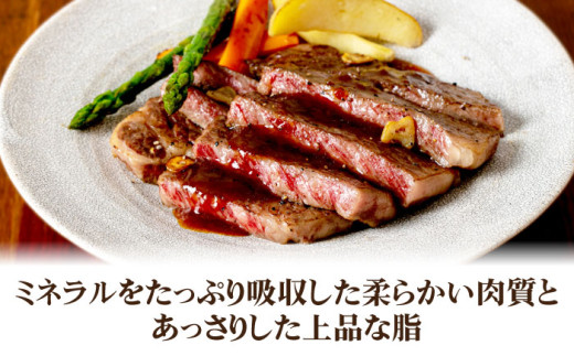 《A4〜A5ランク》壱岐牛サーロインステーキ 200g×4枚 《壱岐市》【壱岐市農業協同組合】[JBO043] 肉 牛肉 サーロイン ステーキ 焼肉 焼き肉 BBQ 赤身 52000 52000円 のし プレゼント ギフト
