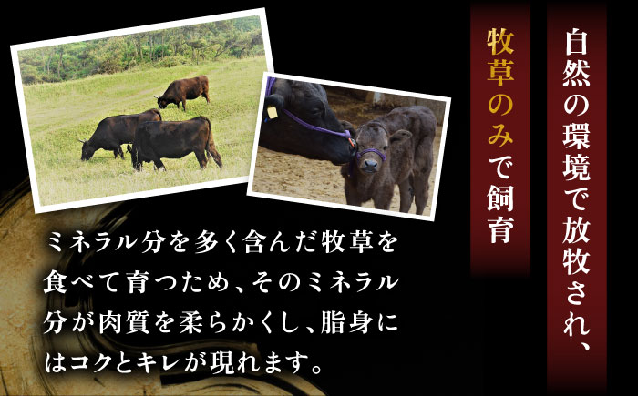 壱岐牛 ヒレステーキ 150g×6枚《壱岐市》【太陽商事】 [JDL015] 肉 牛肉 ヒレ ひれ フィレ ステーキ ヒレステーキ シャトーブリアン BBQ 焼肉 赤身   8万 のし プレゼント ギフト 80000 80000円 8万円