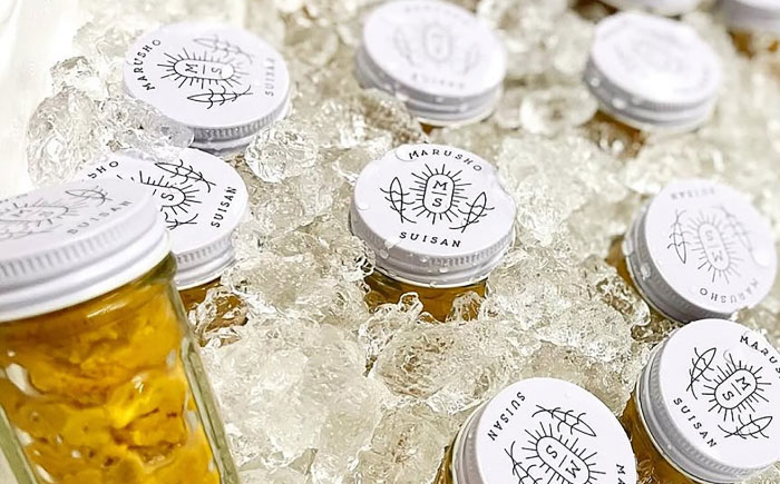 【先行予約】生ウニ 60g 【2026年5月以降順次発送】《壱岐市》【丸昇水産】 うに 雲丹 ウニ 希少 産地直送 ミョウバン不使用 無添加 [JFZ005]