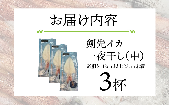 剣先イカ 一夜干（中）3杯《壱岐市》【株式会社マルショウ】[JEW006] いか イカ 剣先いか セット おつまみ 一夜干し 海産物 魚介 刺し身16000 16000円