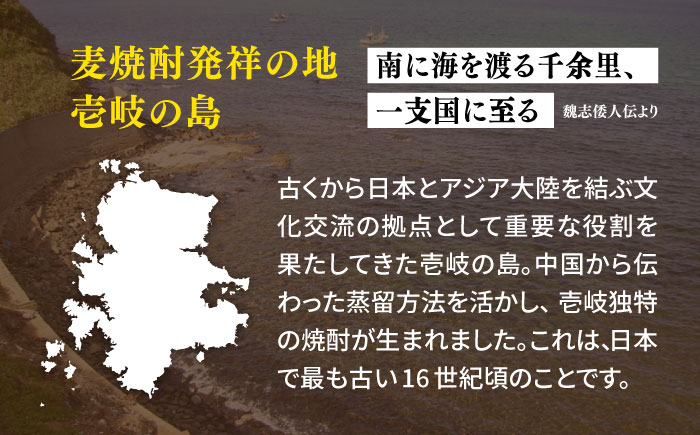 【全2回定期便】ちんぐ焼酎セット《壱岐市》【天下御免】焼酎 壱岐焼酎 麦焼酎 酒 アルコール [JDB363]