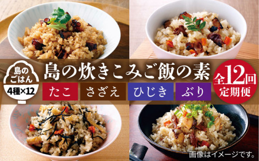 【全12回定期便】島の炊き込みご飯の素 炊き込みご飯 たき込みご飯 たこ さざえ ひじき ブリ セット 詰め合わせ 定期便 [JAH070] 120000 120000円 