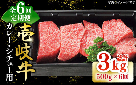 【全6回定期便】 特選 壱岐牛 すね肉 500g（カレー・シチュー用）《壱岐市》【太陽商事】[JDL083] 肉 牛肉 黒毛和牛 ブランド牛 カレー シチュー 赤身 チマキ 煮込み ブロック 国産 九州 66000 66000円