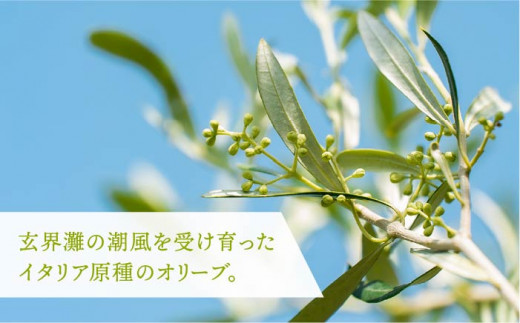 オリーブ抹茶のジンジャーシロップ [JDU007] 11000 11000円