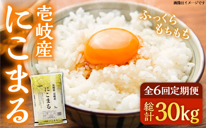 【全6回定期便】壱岐産米 にこまる 5kg 《壱岐市》【壱岐市農業協同組合】 [JBO054] 米 お米 ご飯 ごはん 白米 お弁当 朝食 常温 定期便   96000 96000円