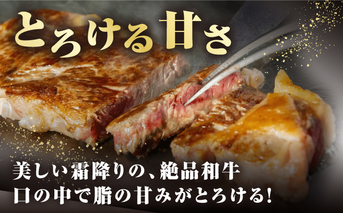 【全3回定期便】【A4〜A5ランク】長崎和牛 サーロインステーキ 400g（200g×2枚）《壱岐市》【野中精肉店】 黒毛和牛 牛肉 和牛 赤身 希少部位  60000円 60000 6万円 [JGC031]