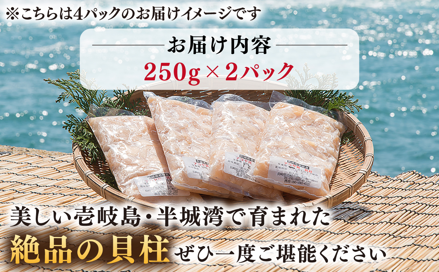 真珠 アコヤ貝 貝柱 500g（250g×2パック）《壱岐市》【丸和水産】 [JCJ022] アコヤ貝 あこや貝 貝 ホタテ 海鮮 魚介 魚貝 海産物 刺身 刺し身 お刺身 16000 16000円