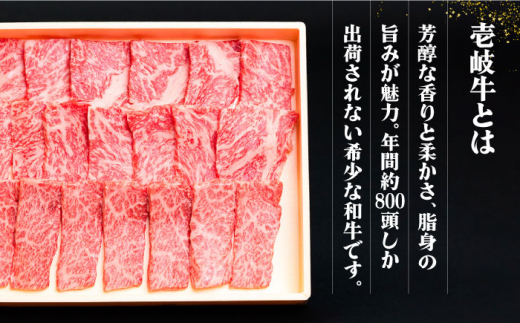 【全6回定期便】《A4〜A5ランク》壱岐牛 満足定期便《壱岐市》【壱岐市農業協同組合】 [JBO081] 和牛 黒毛和牛 ロース サーロイン ステーキ BBQ 焼肉 焼き肉 すき焼き しゃぶしゃぶ 鍋 うす切り   300000 300000円 30万円
