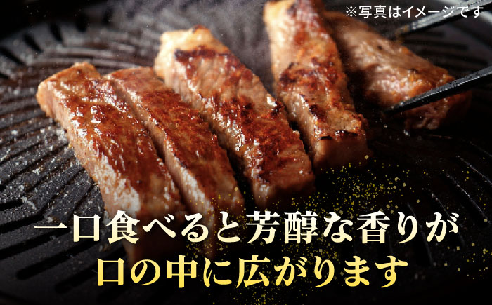 特選 壱岐牛 サーロインステーキ 200g×5枚《壱岐市》【太陽商事】[JDL022] 肉 牛肉 サーロイン ステーキ サーロインステーキ 赤身 焼肉 焼き肉 66000 66000円 のし プレゼント ギフト